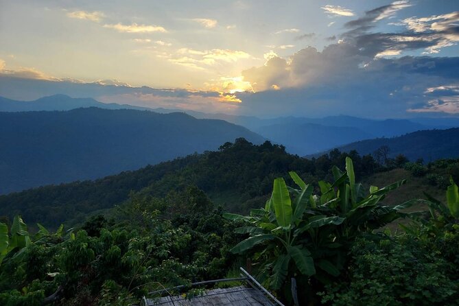 1 Day Trekking in Chiang Mai - Key points to know before you book