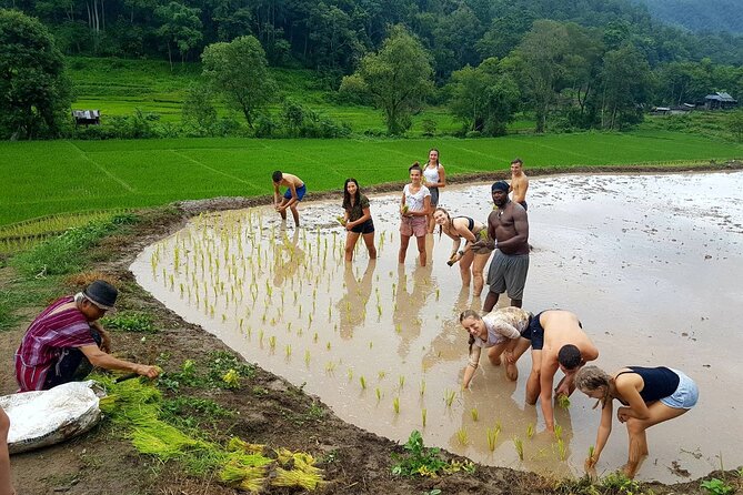 1 Day Trekking in Chiang Mai - A waterfall swim, not just a photo stop