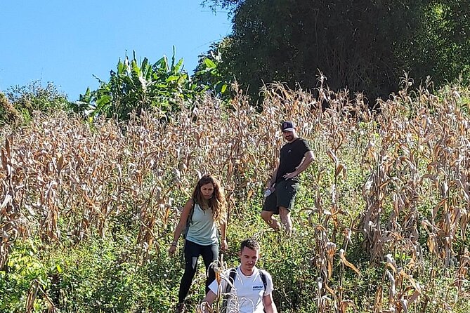 1 Day Trekking in Chiang Mai - Meeting a hilltribe community with care