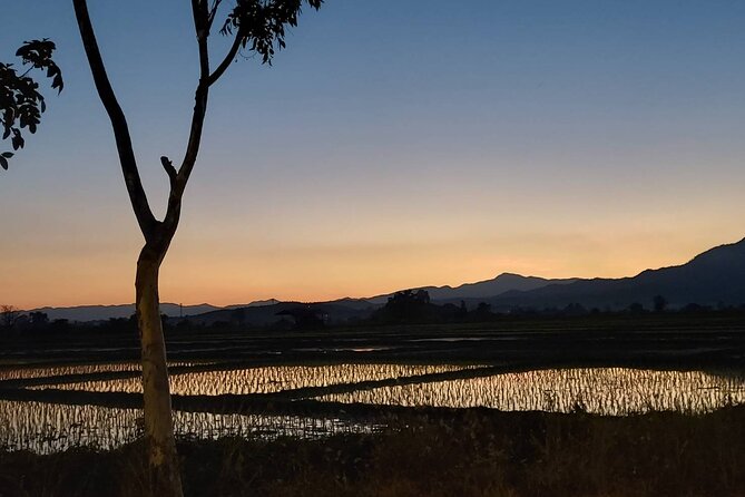 1 Day Trekking in Chiang Mai - Families, fitness, and what to bring