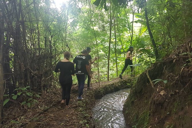 1 Day Trekking in Chiang Mai - What the mountain walk is really like