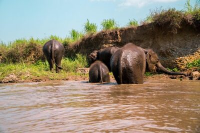 11 Day Tuk Tuk Adventure in Northern Thailand