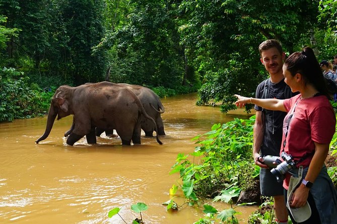 2-Day Kindred Spirit Elephant Sanctuary in Chiang Mai - What the elephant ethics question means