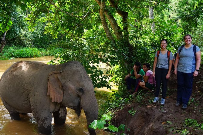 2-Day Kindred Spirit Elephant Sanctuary in Chiang Mai - Cooking and basket weaving with local hosts