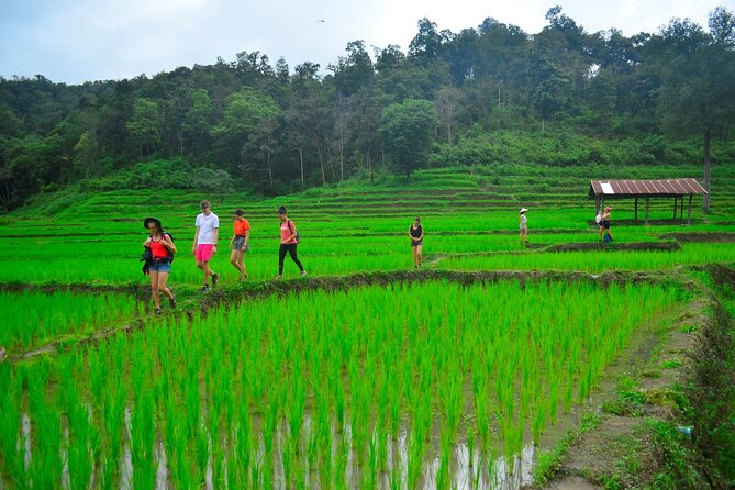 2 Days Hiking Tour in Chiang Mai - The jungle waterfall and its swimming beach