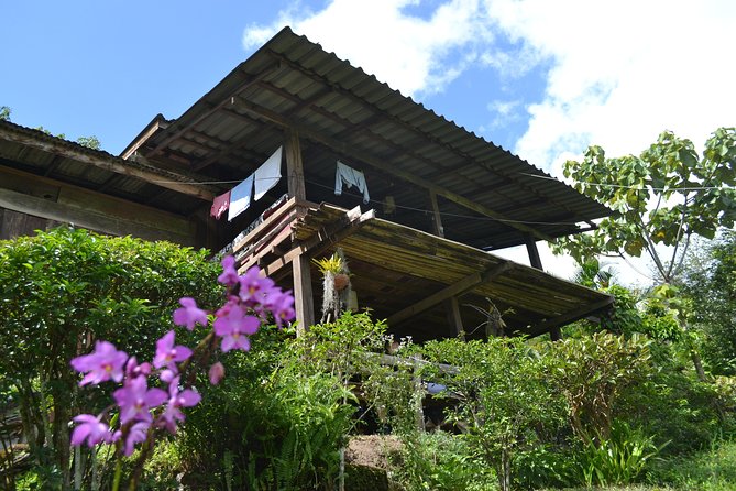 3-Day Chiang Dao Mountain Trek - Key points to know before booking