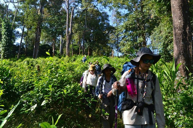 3-Day Chiang Dao Mountain Trek - What to carry for three days