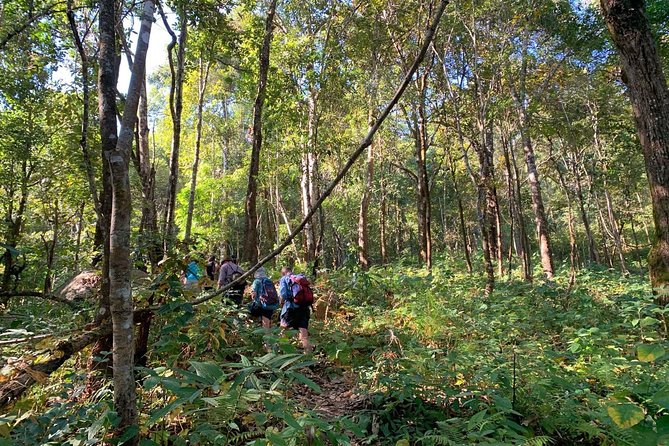 3-Day Chiang Dao Mountain Trek - Who should book this trek?