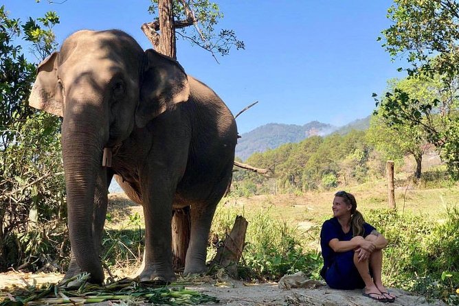3-in-1: Doi Inthanon Tour, Elephant Sanctuary, and Trekking Trail - What to pack for the mountain and trail