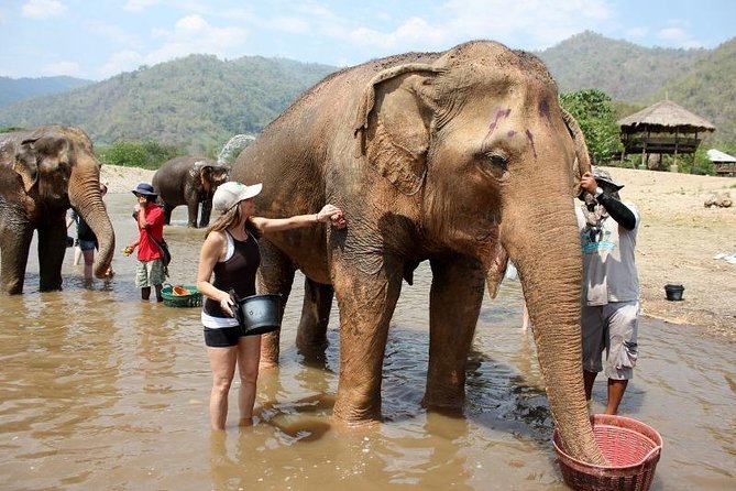 3D2NTrek Adventure at Chiang Mai Mea Wang Including Overnight at Karen Hilltribe - Who will enjoy this Mae Wang trip