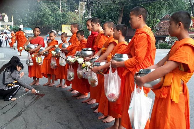 4 highlights: Sticky Waterfall/Elephants/local market /Wat Banden - What the $65 price really covers