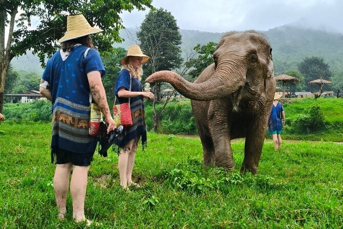 4 in 1 Elephants Long Neck Rafting and Sticky Waterfall Tour - Visiting a Karen Long Neck Village