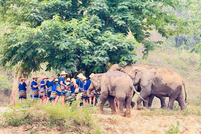 4 in 1 Elephants Long Neck Rafting and Sticky Waterfall Tour - Who should book this experience