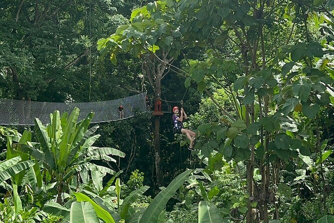 7 Hour Sticky Waterfall and Zipline Adventure - The Zipline: Speed Above the Trees