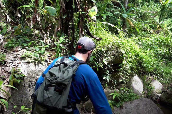 8KM White Water Rafting and 3HRS Jungle Trekking Adventure - A full day beyond Chiang Mai