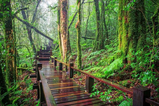 A Day Trip to Doi Inthanon Escape to Nature - Pha Dok Seaw and the Forest Trail
