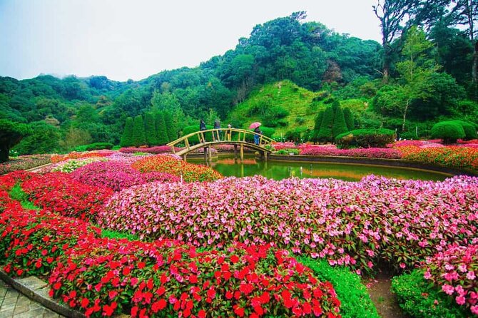 A Day Trip to Doi Inthanon Escape to Nature - What the $58.94 Price Really Covers