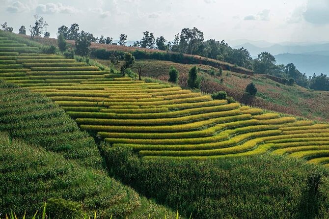 A Day Trip to Doi Inthanon Escape to Nature - Practical Tips for a Better Day