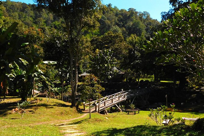 Authentic Mae Kham Pong Village Cultural Experience - Who Will Enjoy This Experience Most