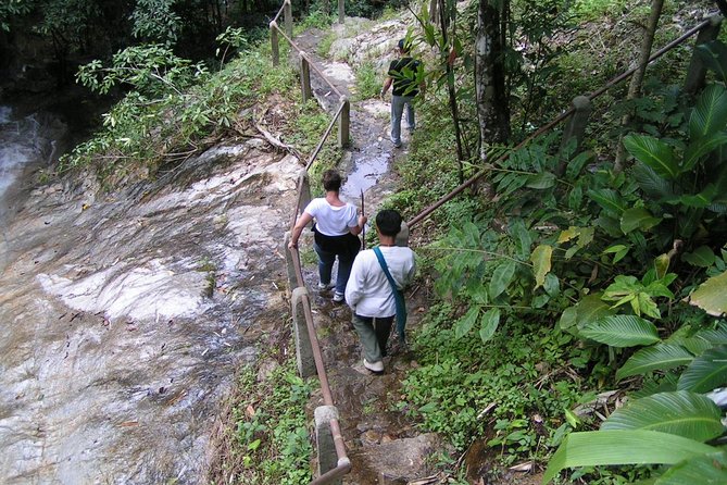 Authentic Mae Kham Pong Village Cultural Experience - From Market Basket to Self-Cooked Dinner