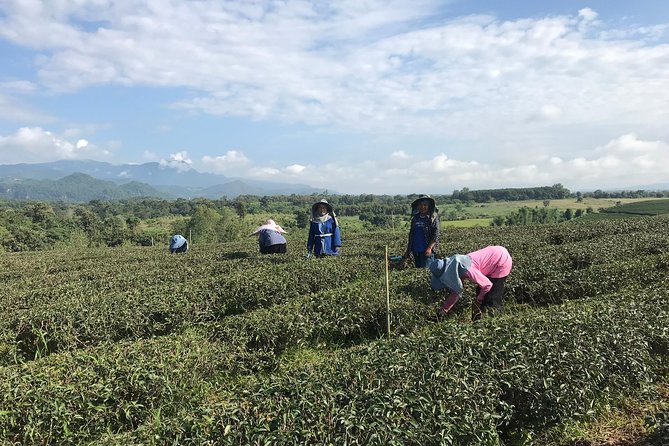 Best 2-Day: Explore Chiang Rai Landmarks from Chiang Mai, Private Trip - Who will get the most from this private trip