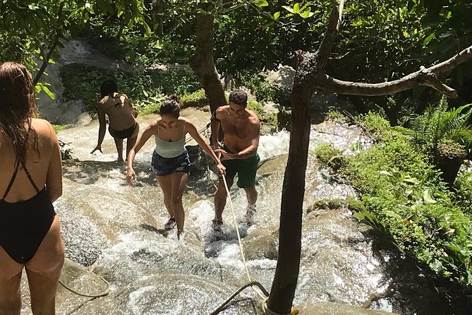 Best of Chiang Mai: Private Tour in a Day - Wat Phra That Doi Suthep and the 306-step approach