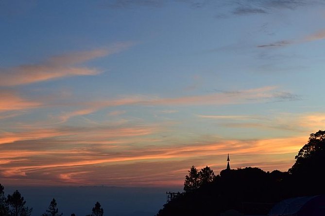 Bird Watching Doi Inthanon - The 5:00 to 5:30 am start from Chiang Mai