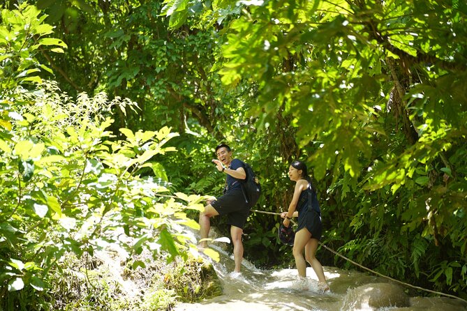 Bua Tong Waterfall Adventure& Huge Cave included Thai Buffet Tour - Lunch, snacks, and the value of the $34.07 price