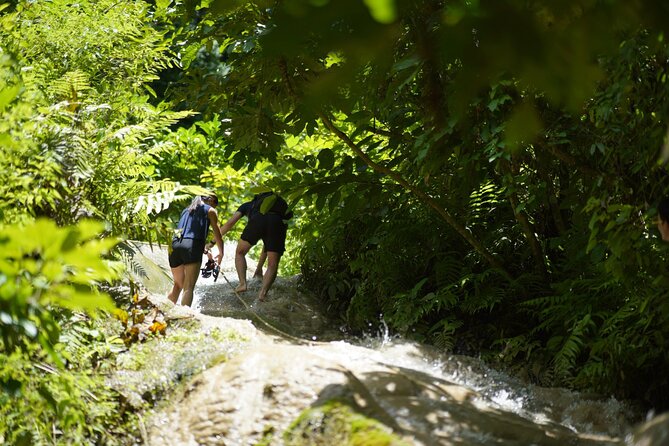 Bua Tong Waterfall Adventure& Huge Cave included Thai Buffet Tour - Who will enjoy this half-day outing?