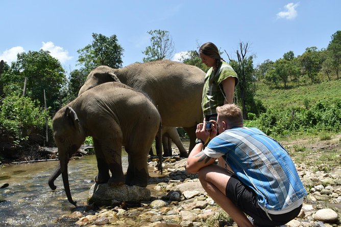 Care Pride Elephants: Full-Day Tour Experience - Walking through the hills with the elephants