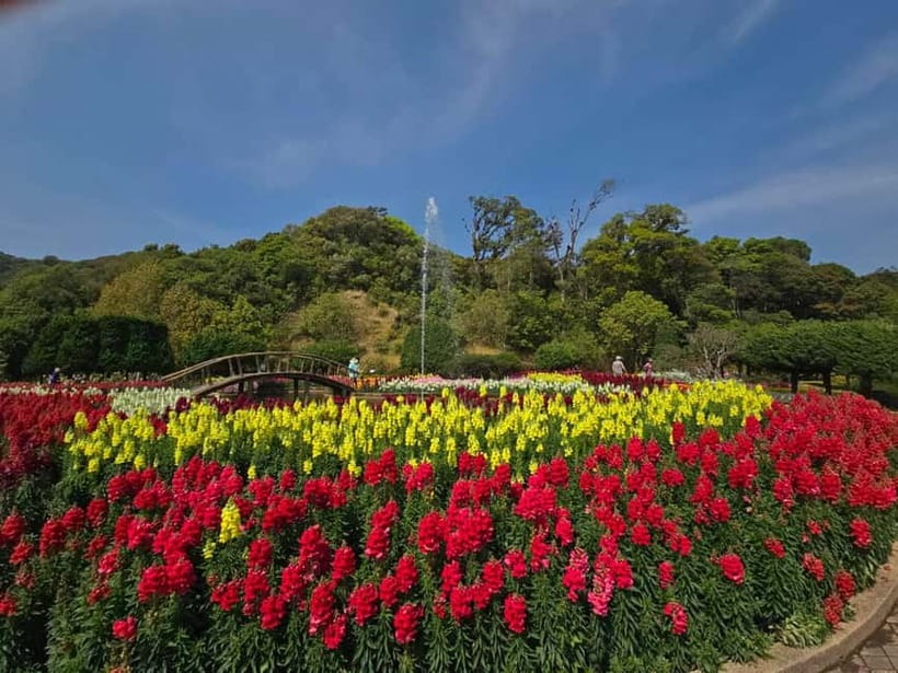 Chang Mai: Doi Inthanon Day Tour w/Waterfalls & Hilltribes - Who should book this Doi Inthanon tour?