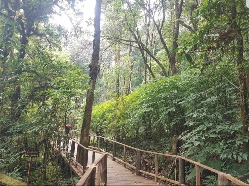 Chang Mai: Doi Inthanon Day Tour w/Waterfalls & Hilltribes - Why Doi Inthanon makes a good day out from Chiang Mai
