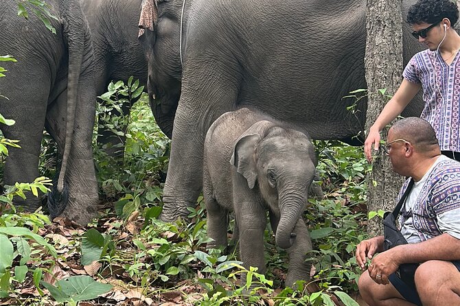 Chiang Mai 1 Day: Elephant Sanctuary, Waterfall & Bamboo Rafting - Bamboo Rafting Through the Thai Countryside