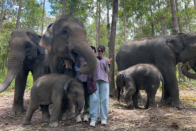 Chiang Mai 1 Day: Elephant Sanctuary, Waterfall & Bamboo Rafting - What to Bring and What to Expect