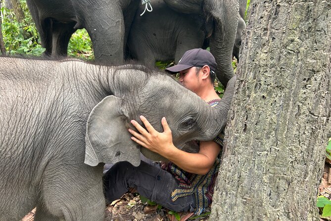 Chiang Mai 1 Day: Elephant Sanctuary, Waterfall & Bamboo Rafting - Walking and Bathing With the Elephants