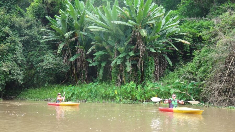 Chiang Mai: 15 km Leisure River Kayaking at Mae Ngat forest - Key points to know before booking