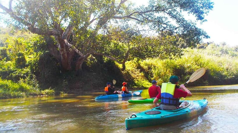 Chiang Mai: 15 km Leisure River Kayaking at Mae Ngat forest - Three hours through the Mae Taeng Forest