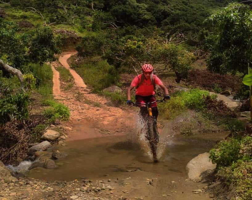 Chiang Mai: 20km Downhill Mountain Biking Challenge Suthep M - Why the Doi Suthep descent is the main event