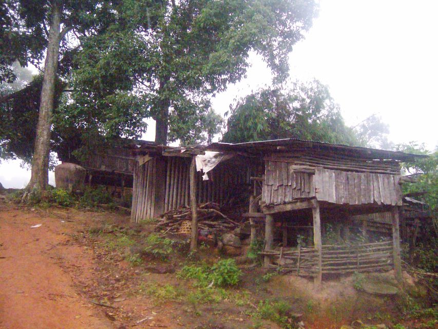 Chiang Mai: 20km Downhill Mountain Biking Challenge Suthep M - Forest tracks, cool air, and the first hour on wheels