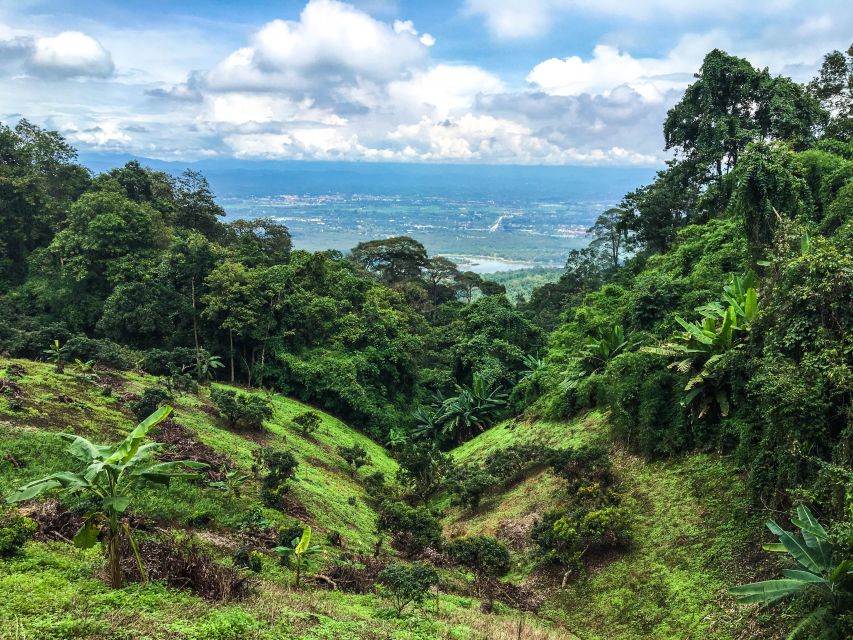 Chiang Mai: 20km Downhill Mountain Biking Challenge Suthep M - Wat Ban Khun Chang Khian and the hilltop coffee stop