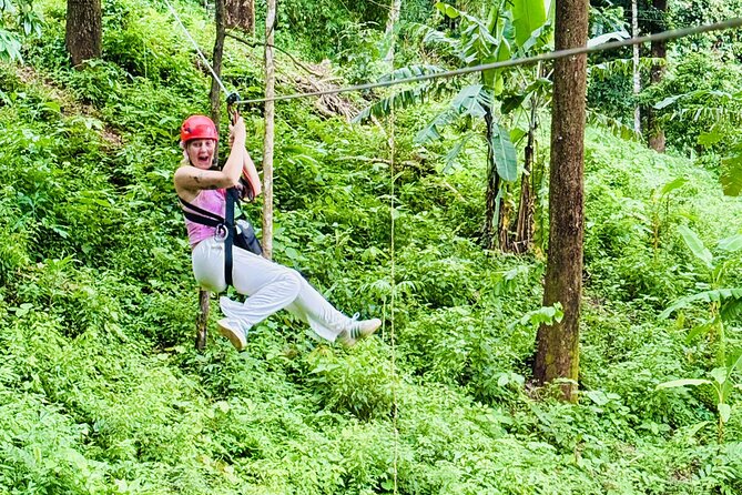 Chiang Mai 3 in 1 Zipline, Elephants and Sticky Waterfall - A Thai lunch that breaks up the action