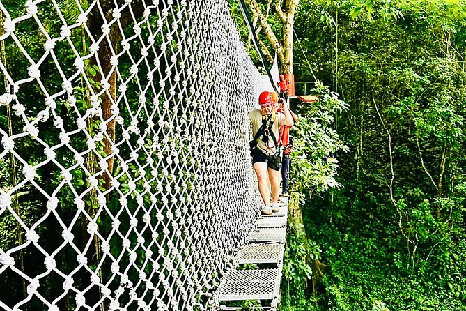 Chiang Mai 3 in 1 Zipline, Elephants and Sticky Waterfall - Meeting rescued elephants in Mae Taeng