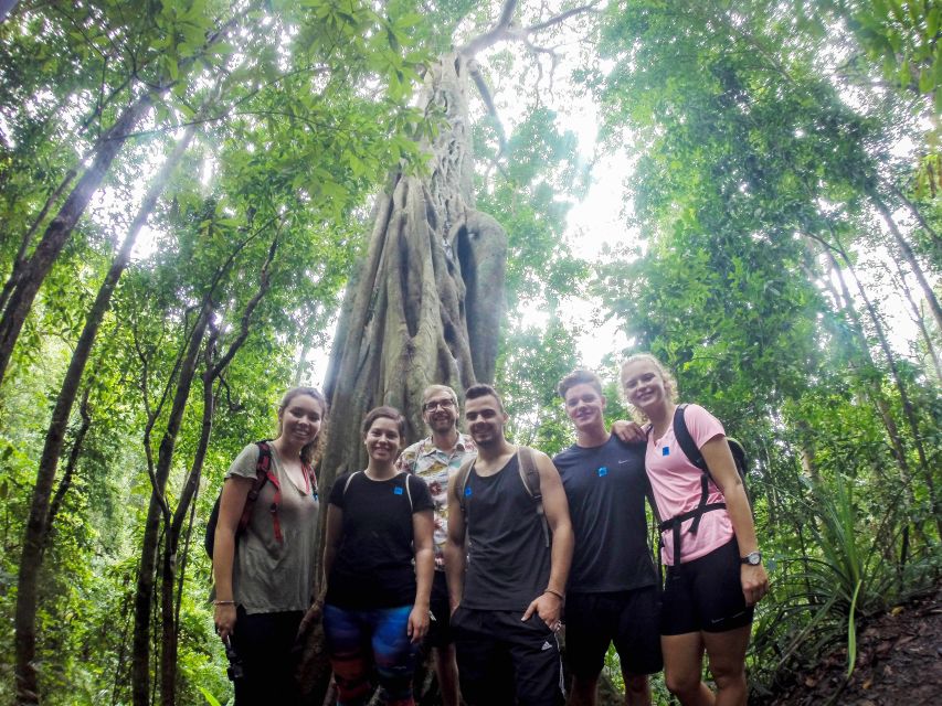 Chiang Mai: 7-Hour Doi Suthep National Park Summit Hiking - Key points to know before you book