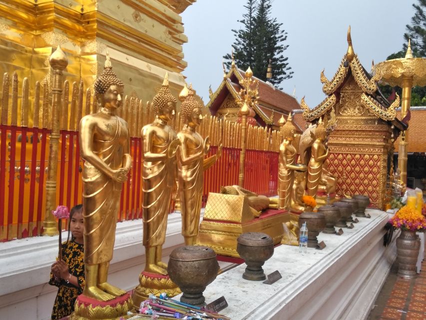 Chiang Mai: 7-Hour Doi Suthep National Park Summit Hiking - Final verdict: a strong choice for active Chiang Mai days
