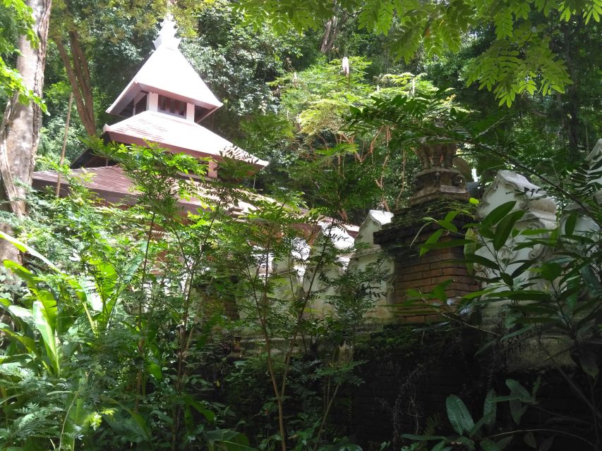 Chiang Mai: 7-Hour Doi Suthep National Park Summit Hiking - Lunch, water, and the late-day schedule
