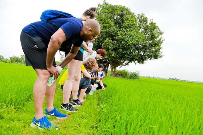 Chiang Mai Active E-bike Countryside Ride - A simple Thai lunch beside the Ping River