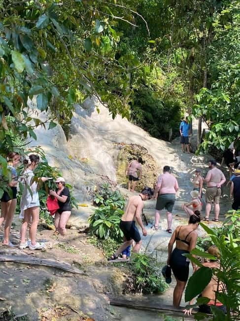 Chiang Mai: Afternoon Bua Tong Sticky Waterfall by Red Taxi - The rice fields add a useful countryside pause