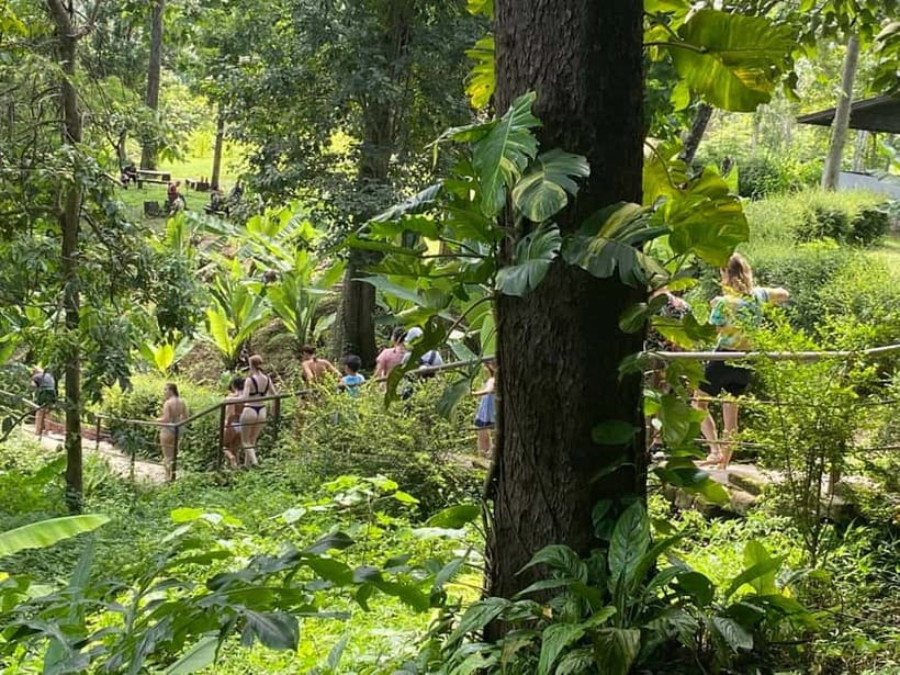 Chiang Mai: Afternoon Bua Tong Sticky Waterfall by Red Taxi - Timing, cancellation, and practical booking notes