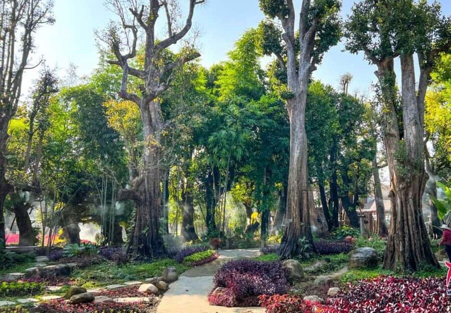 Chiang Mai: Angel Waterfall & Sticky Waterfall & Wat Ban Den - Lunch in Mae Taeng