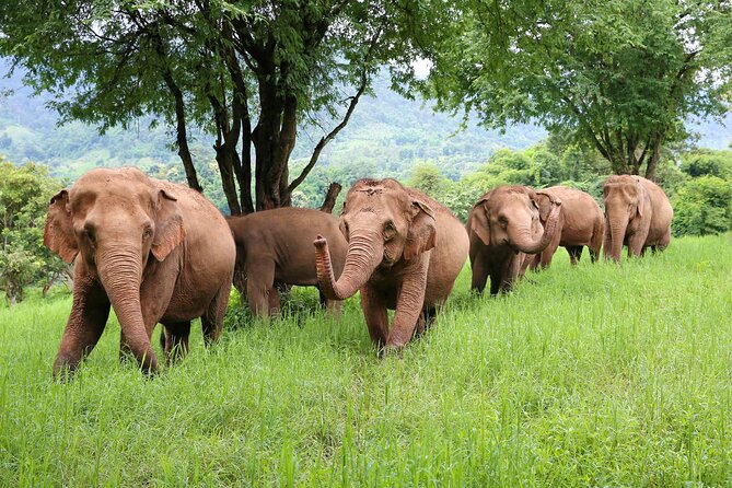 Chiang Mai ATV White Water Rafting and Elephant Sanctuary Full-Day Trip - Leaving Chiang Mai for Bann Kang Kud village